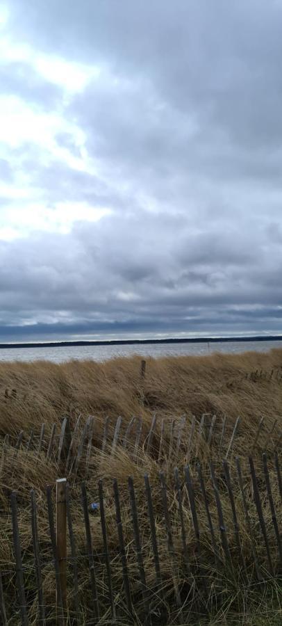 Beach Walk Apartment Broughty Ferry Eksteriør billede